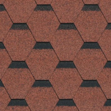 04-shafran